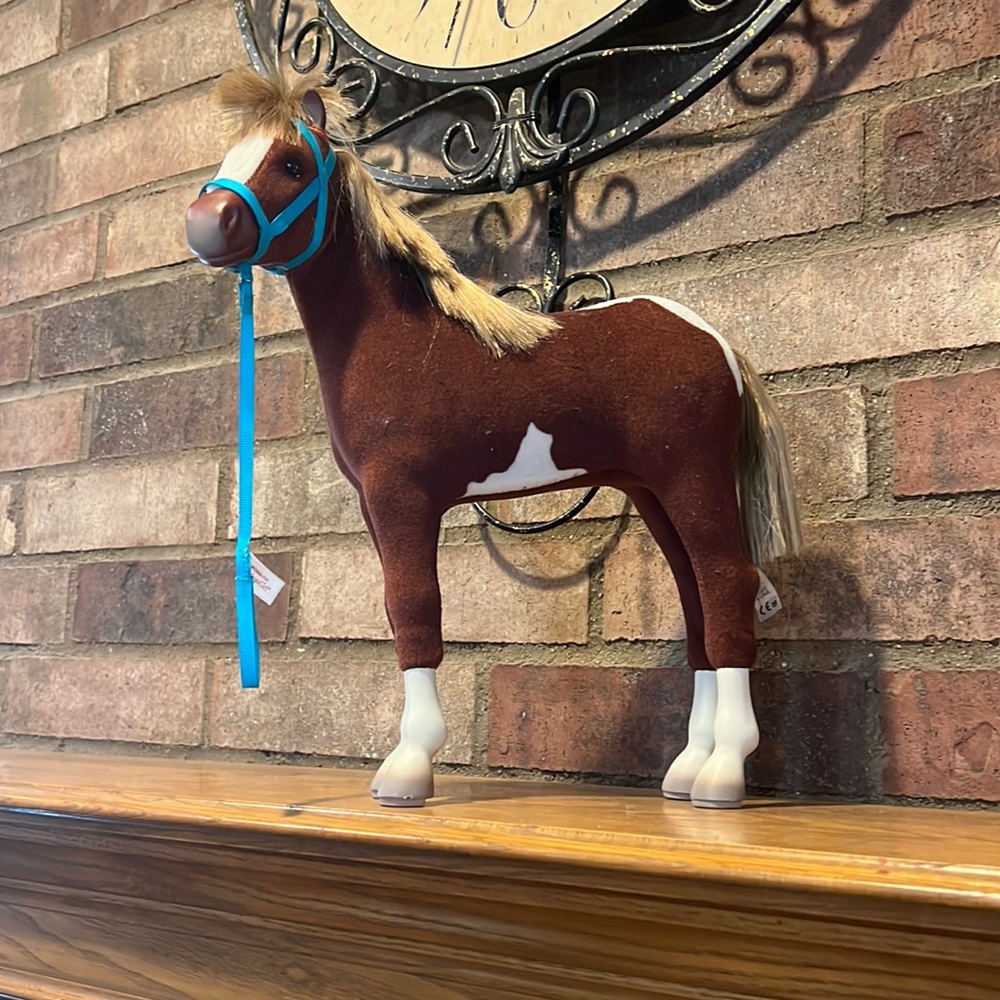 American Girl: American Paint Foal